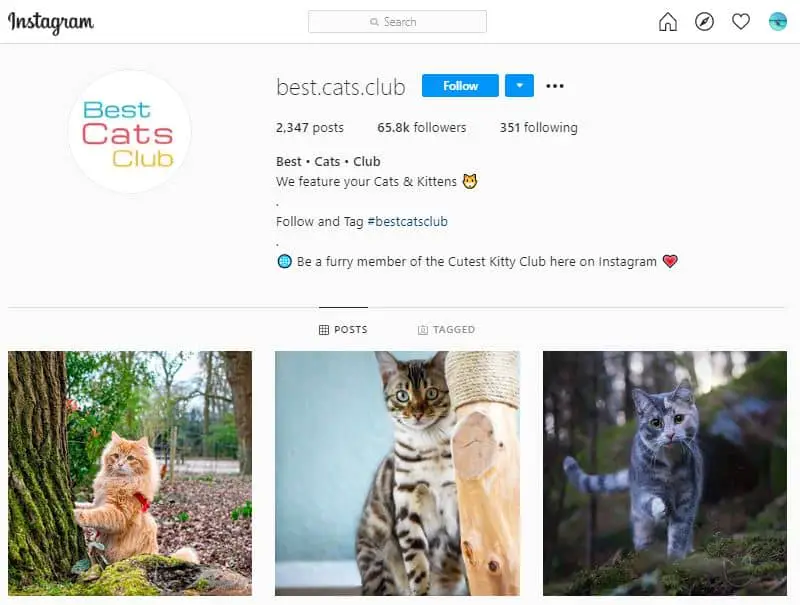 Instagram Hashtags Cheat Sheet Your 2021 Guide