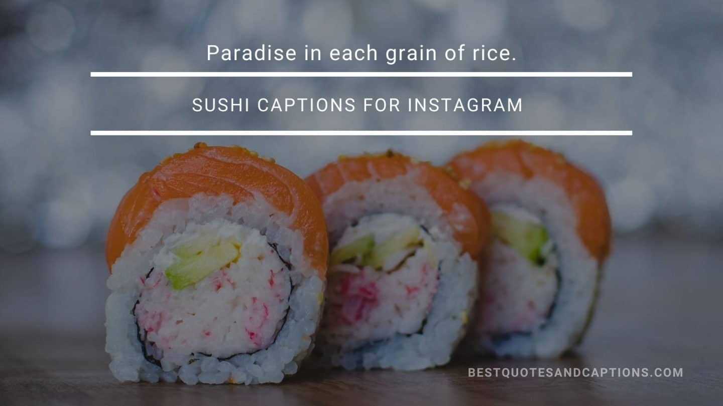 Sushi captions for Instagram | 150+ ‘crabtivating’ sushi quotes