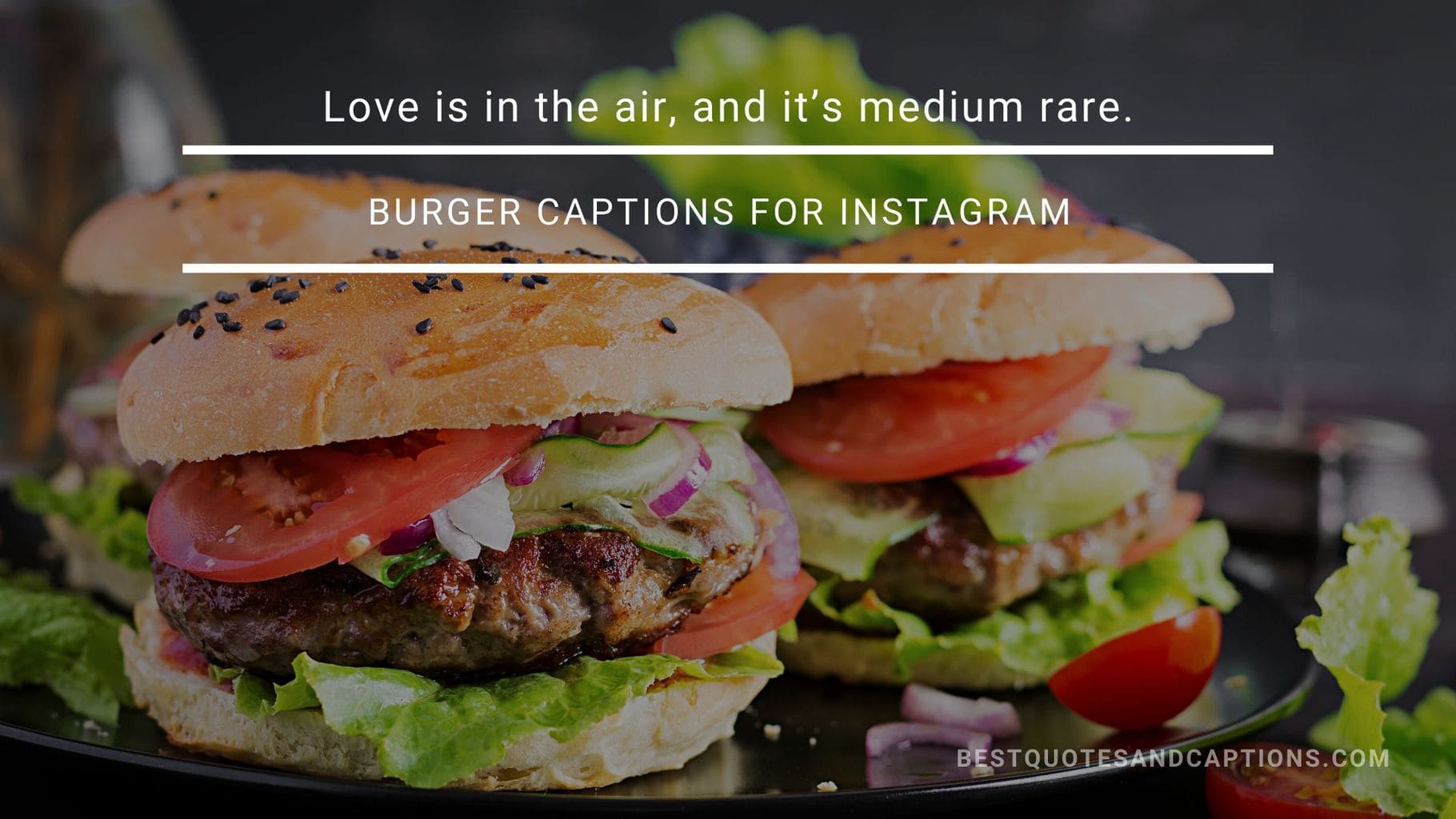 Burger captions for Instagram 150+ meaty burger quotes for social media