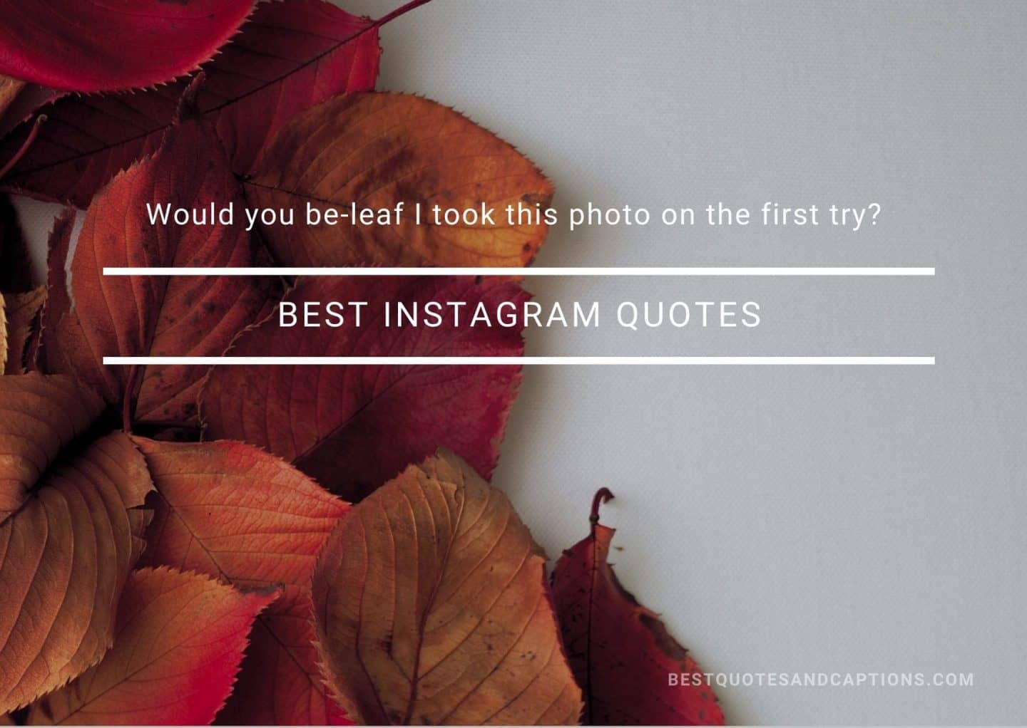 Download Best Instagram Quotes 500 Of The Ultimate Quotes For Instagram