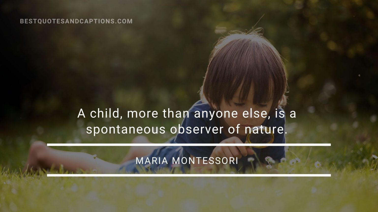 300+ Family Trip Quotes & Captions 🚗🌴 | Best Quotes & Captions